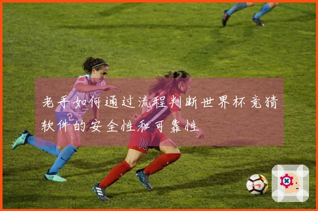 老手如何通过流程判断世界杯竞猜软件的安全性和可靠性
