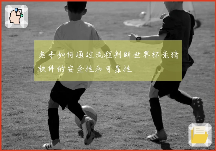 老手如何通过流程判断世界杯竞猜软件的安全性和可靠性