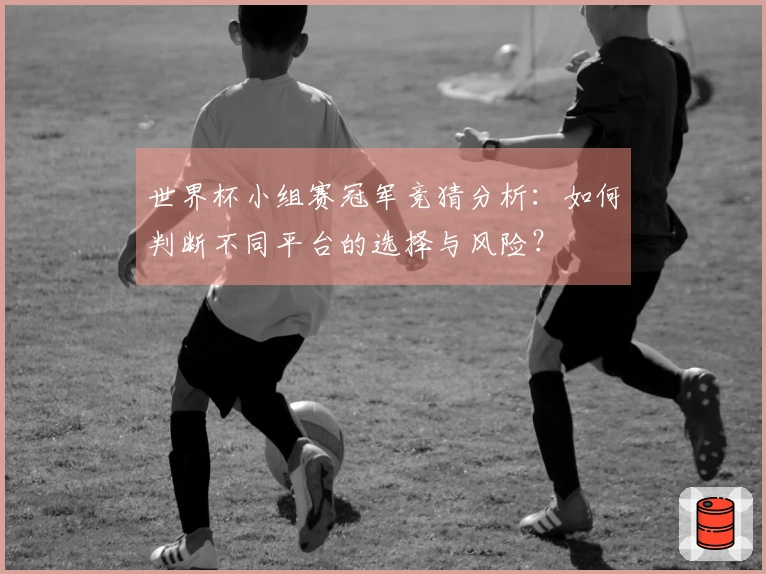 世界杯小组赛冠军竞猜分析：如何判断不同平台的选择与风险？